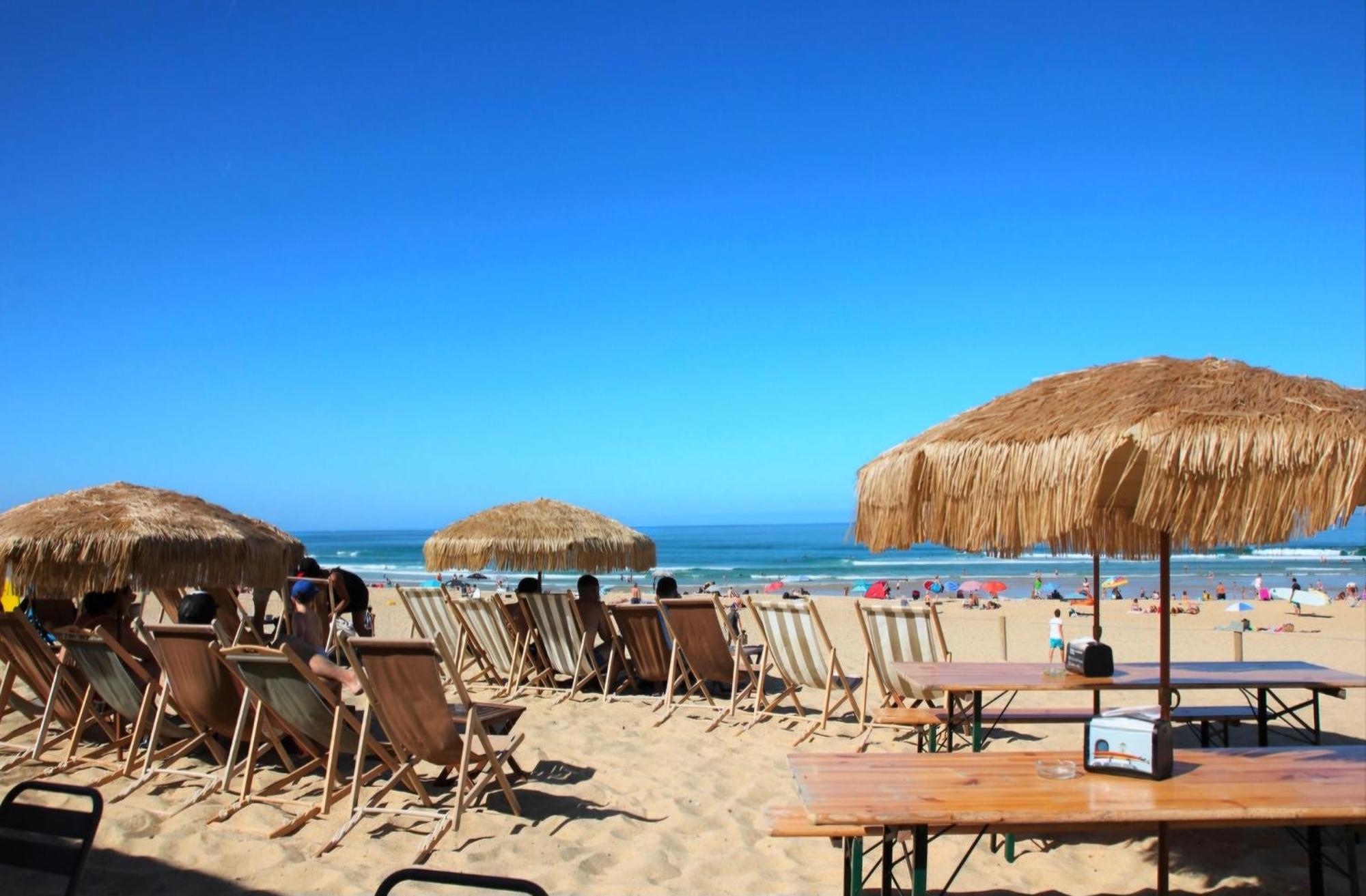 Appartement Avec Terrasse/Bord De Mer/Ideal Surf Seignosse Dış mekan fotoğraf